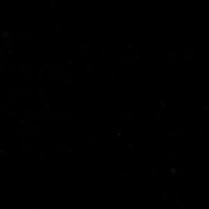 Meet your Posher, Luis